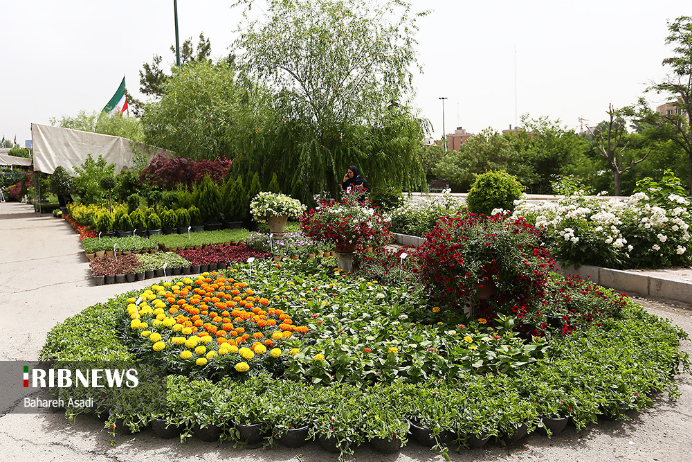 نمایشگاه بین‌المللی گل و گیاه تهران/ گزارش تصویری