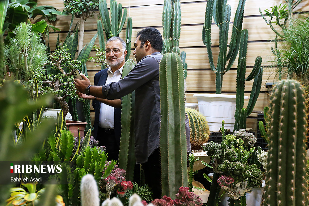 نمایشگاه بین‌المللی گل و گیاه تهران/ گزارش تصویری