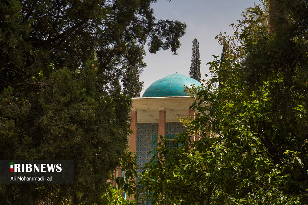 روز بزرگداشت سعدی شیرازی/ گزارش تصویری
