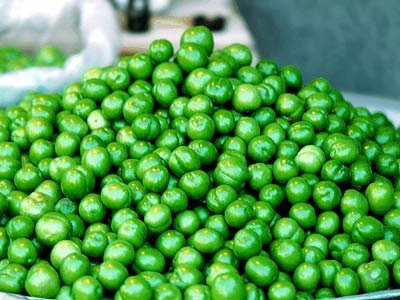 کاهش ۱۰ تا ۲۰ درصدی قیمت میوه و صیفی در میدان مرکزی