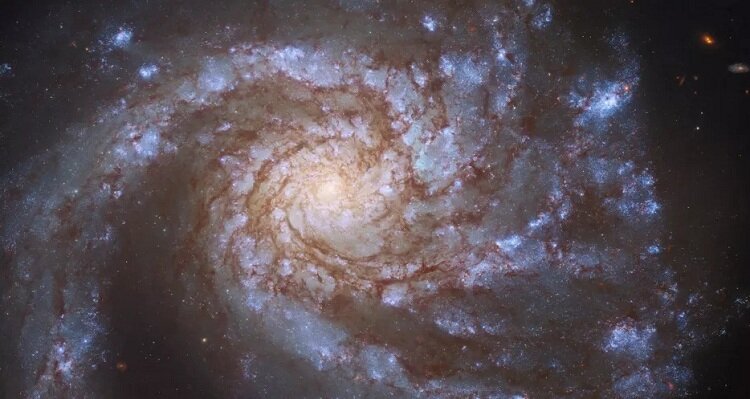 تصویری خیره‌کننده از کهکشان M۹۹ 