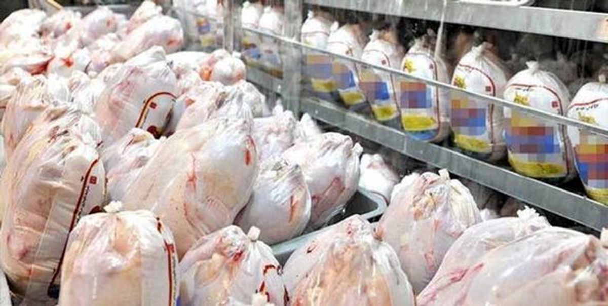  فروش مرغ عمده زیر نرخ مصوب