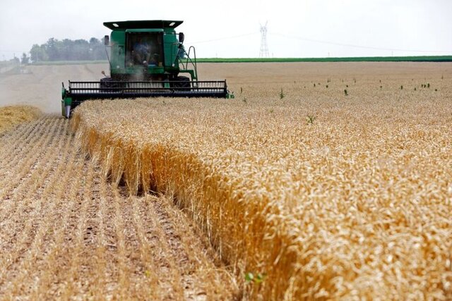 ذخایر گندم جهانی در پایین‌ترین سطح ۶ سال اخیر