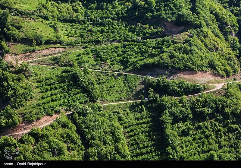 طبیعت بهاری اشکوارت رحیم آباد/ گزارش تصویری