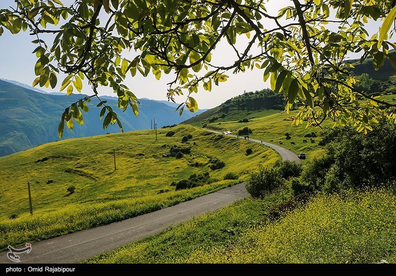 طبیعت بهاری اشکوارت رحیم آباد/ گزارش تصویری