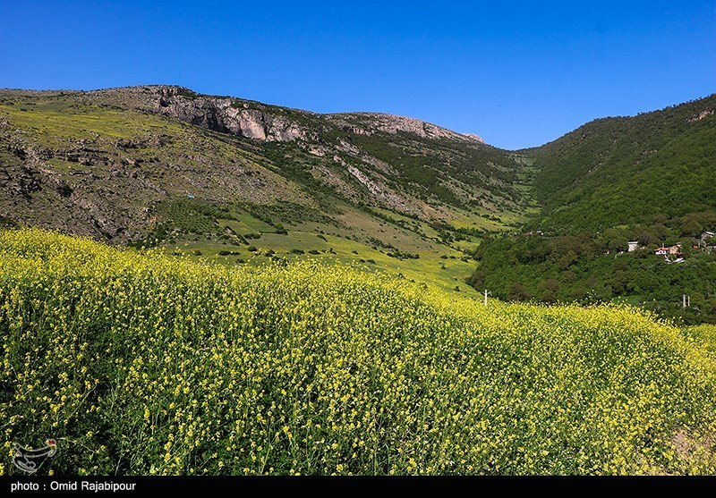 طبیعت بهاری اشکوارت رحیم آباد/ گزارش تصویری