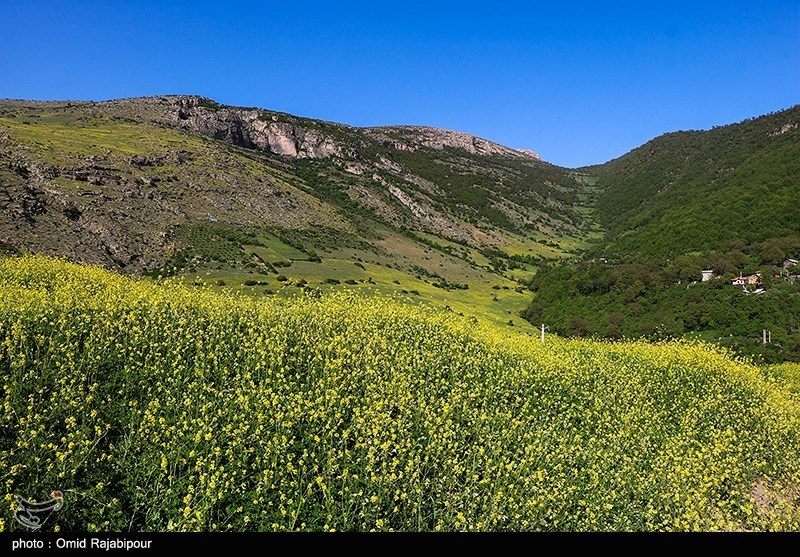 طبیعت بهاری اشکوارت رحیم آباد/ گزارش تصویری