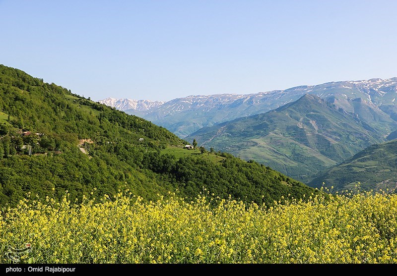 طبیعت بهاری اشکوارت رحیم آباد/ گزارش تصویری