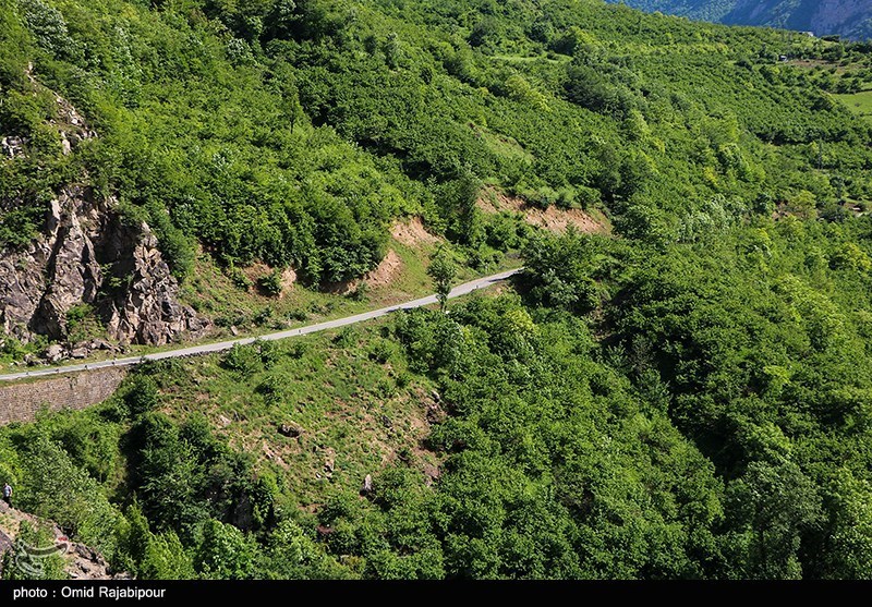 طبیعت بهاری اشکوارت رحیم آباد/ گزارش تصویری