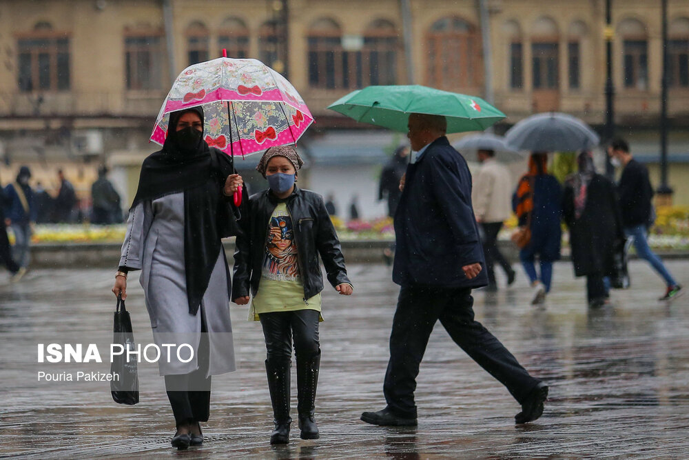 طراوت باران بهاری در همدان/ گزارش تصویری