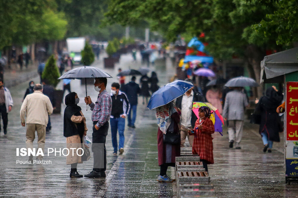 طراوت باران بهاری در همدان/ گزارش تصویری