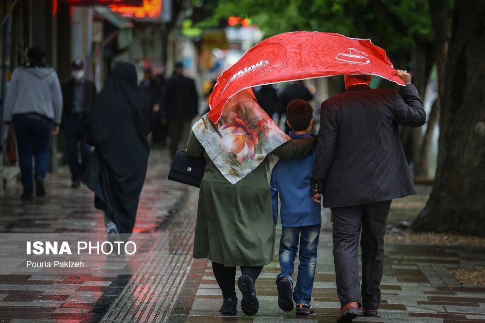 طراوت باران بهاری در همدان/ گزارش تصویری