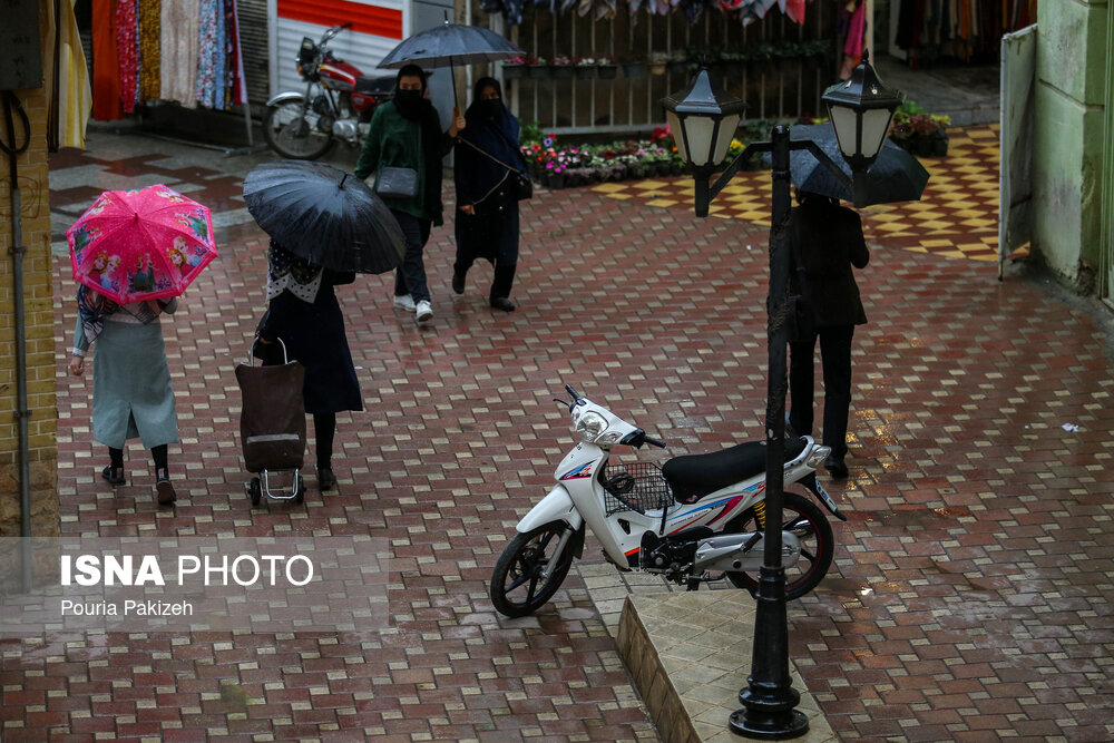 طراوت باران بهاری در همدان/ گزارش تصویری