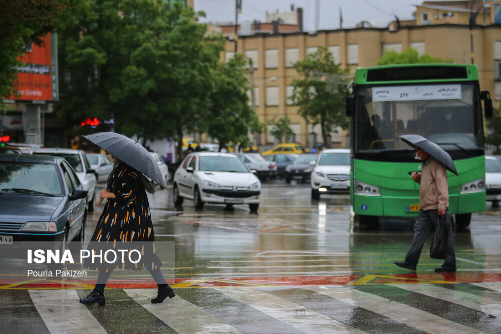 طراوت باران بهاری در همدان/ گزارش تصویری