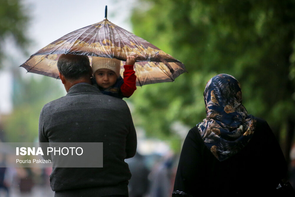 طراوت باران بهاری در همدان/ گزارش تصویری