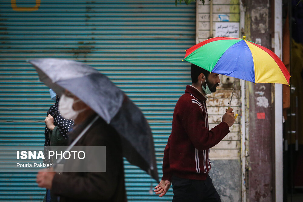 طراوت باران بهاری در همدان/ گزارش تصویری