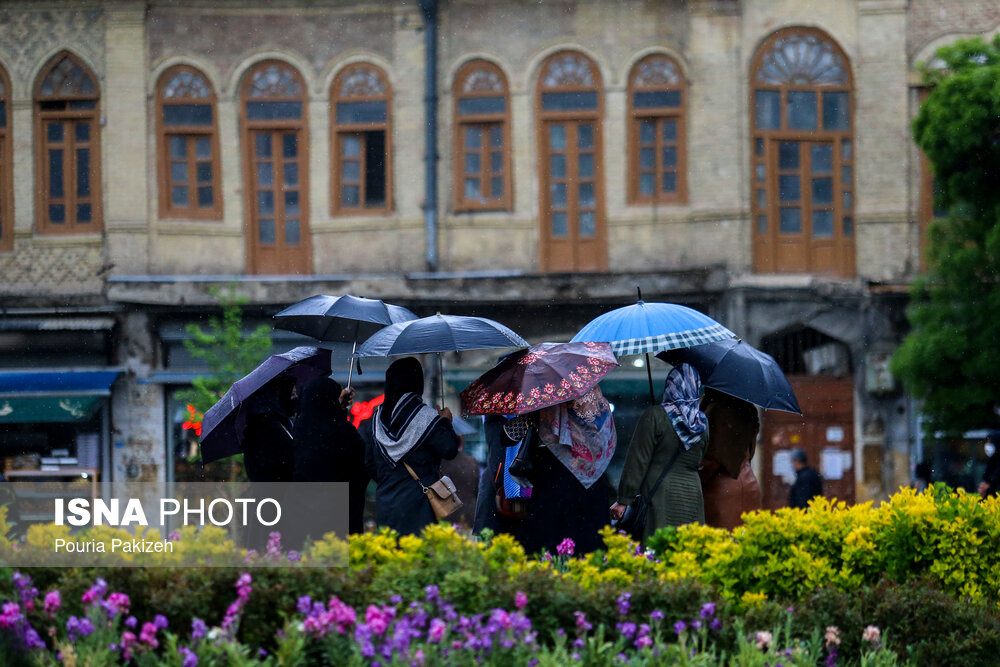 طراوت باران بهاری در همدان/ گزارش تصویری