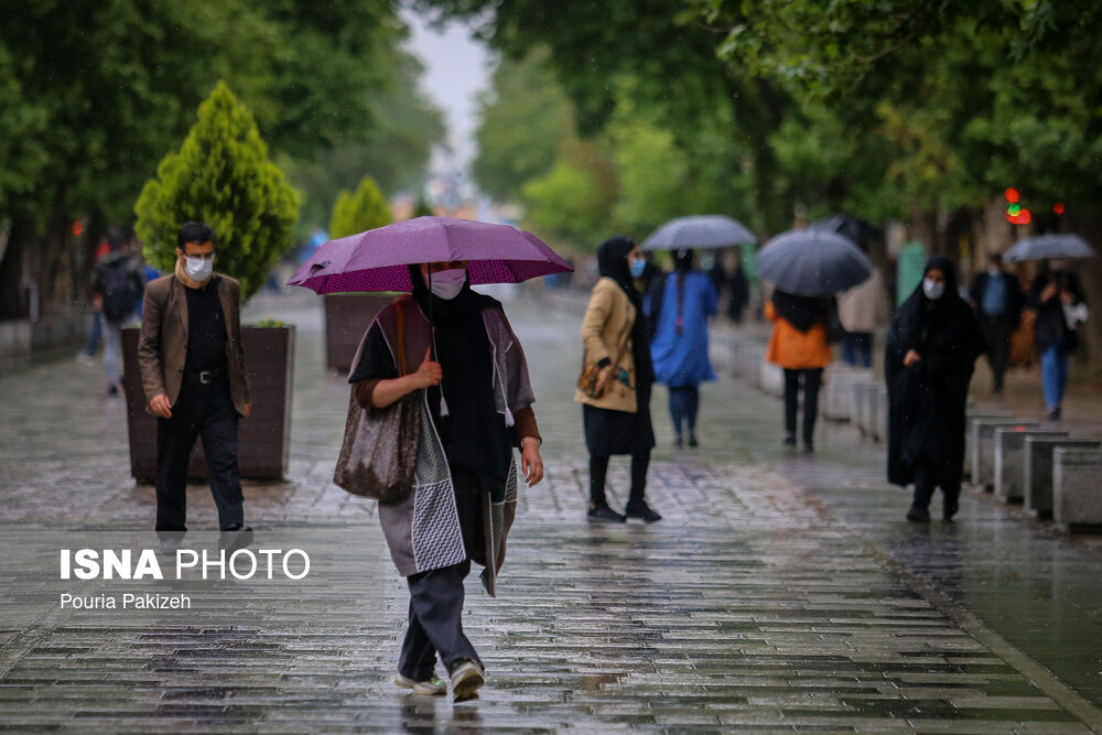 طراوت باران بهاری در همدان/ گزارش تصویری