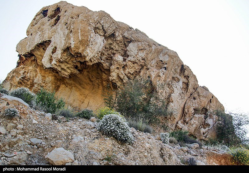 طبیعت کوه گنو بندرعباس/ گزارش تصویری