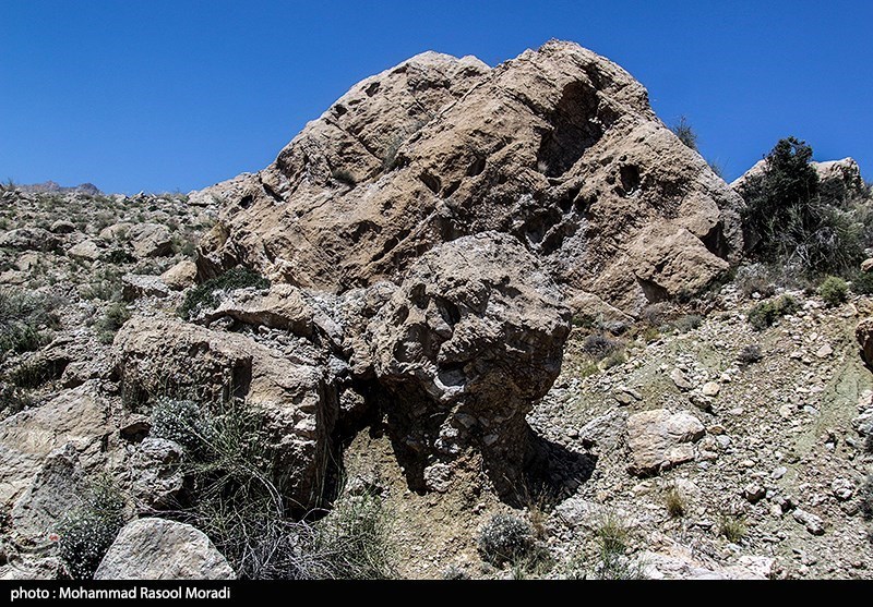 طبیعت کوه گنو بندرعباس/ گزارش تصویری