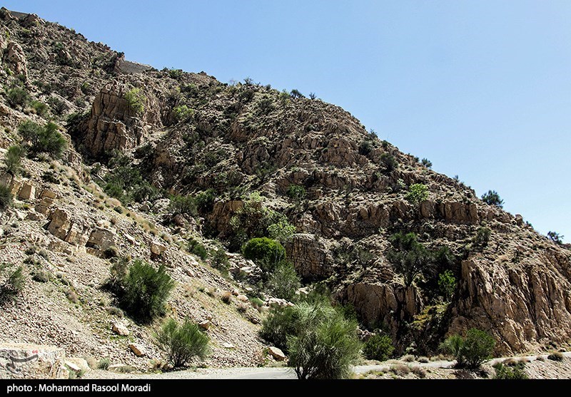 طبیعت کوه گنو بندرعباس/ گزارش تصویری