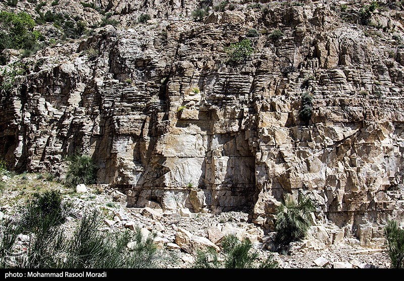 طبیعت کوه گنو بندرعباس/ گزارش تصویری