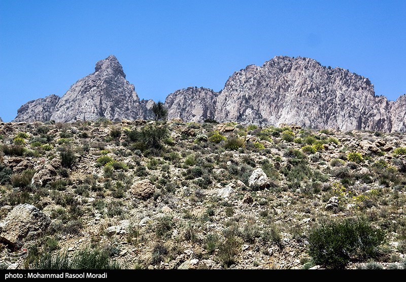 طبیعت کوه گنو بندرعباس/ گزارش تصویری