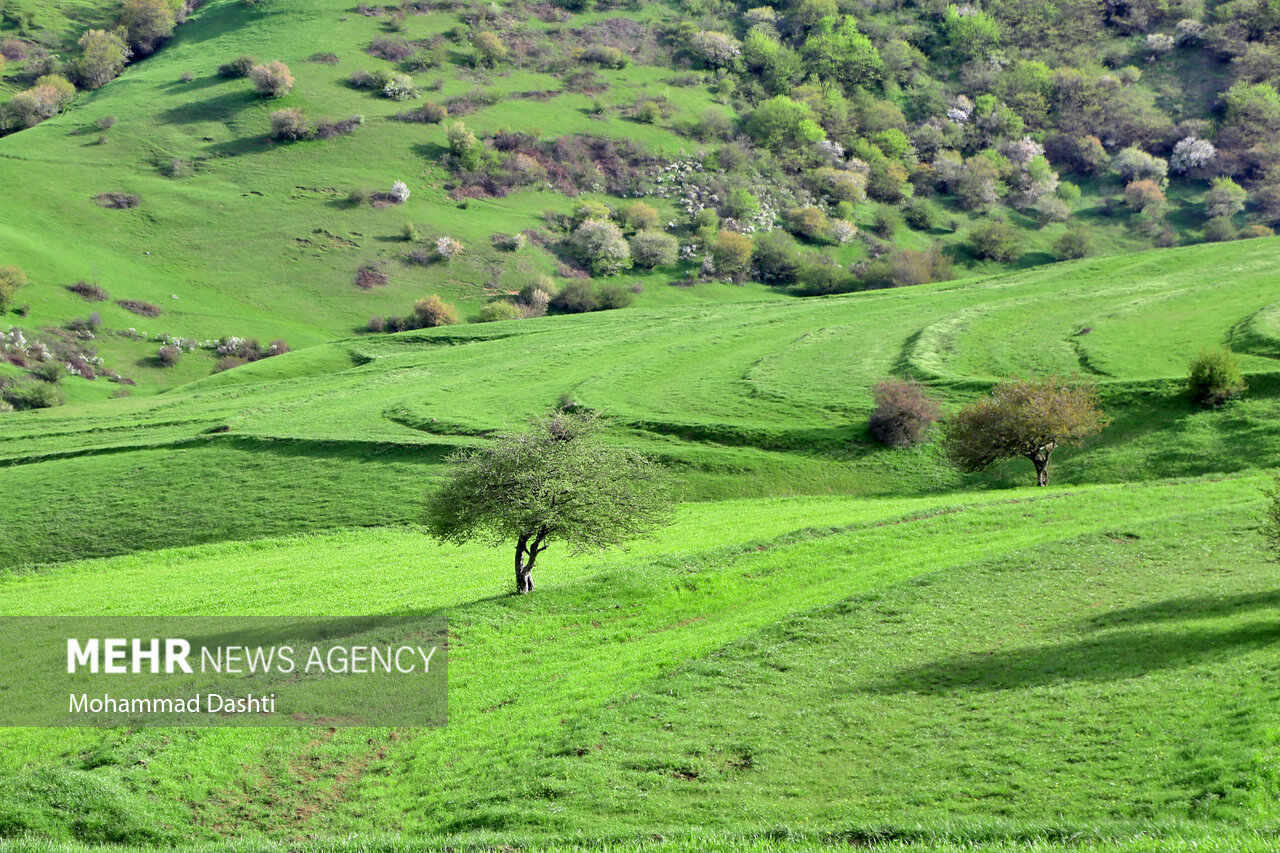 «موران» بهشتی فراموش شده در شمال اردبیل/ گزارش تصویری