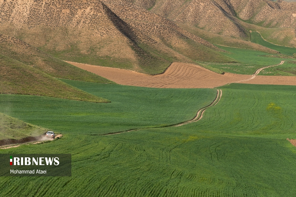 تپه‌های مخملی هزار دره ترکمن صحرا/ گزارش تصویری