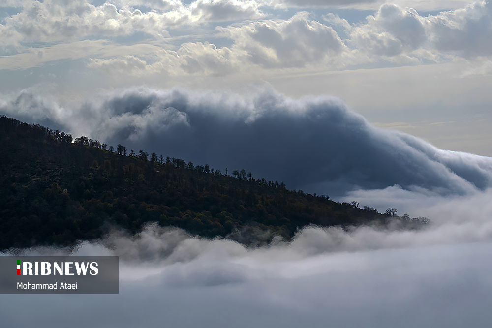 جنگل زیبای اولنگ بر فراز اقیانوسی از ابر‌ها/ گزارش تصویری