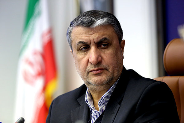 اسلامی: پاسخ‌های ایران به آژانس دقیق بوده؛ نفوذ سیاسی باید متوقف شود