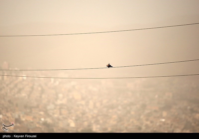 گرد و غبار غلیظ در راه تهران