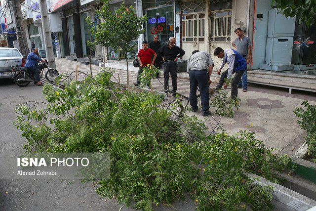 توفان در تهران؛ مجروح شدن ۶ نفر و سقوط درخت‌ها
