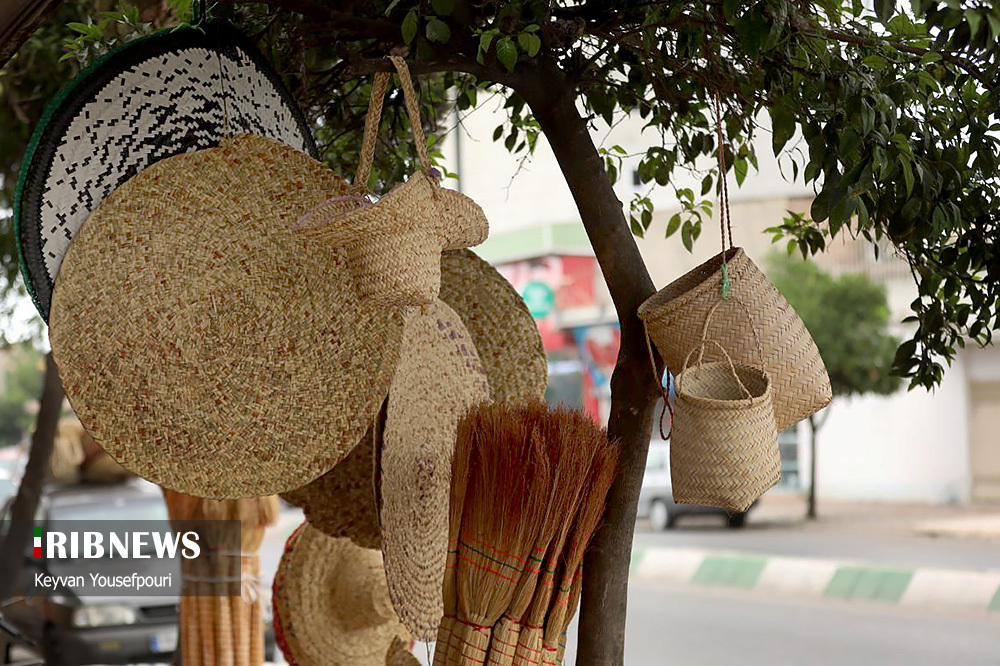 جارو بافی؛ صنایع دستی و سوغات مازندران/ گزارش تصویری