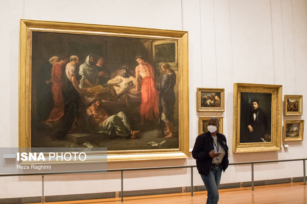 موزه هنرهای زیبای «لیون»/ گزارش تصویری