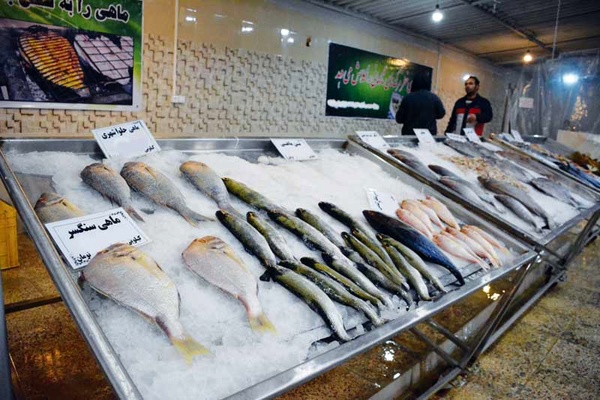 نرخ ماهی به کیلویی ۱۰۰ هزار تومان رسید؛ کاهش قدرت خرید!