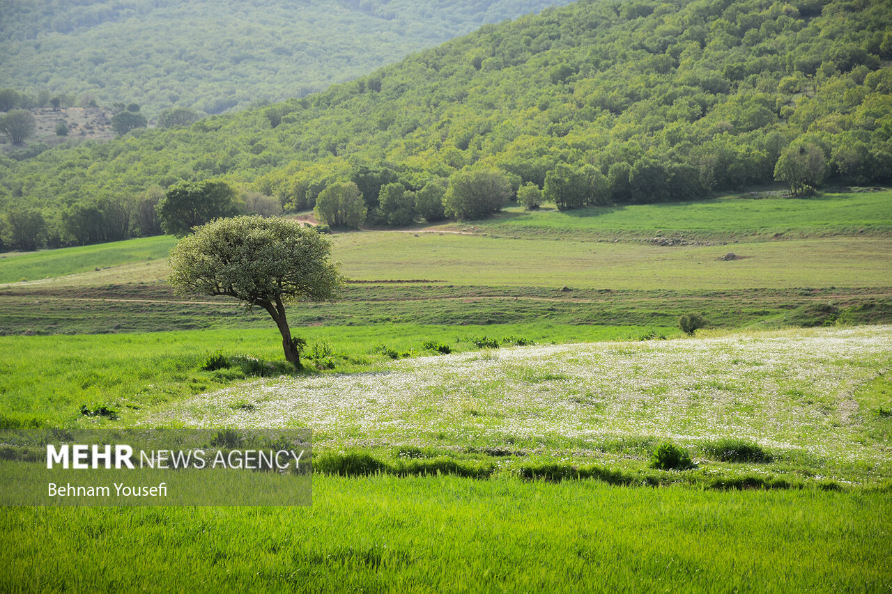 آبشار «ازنادر» لرستان/ گزارش تصویری