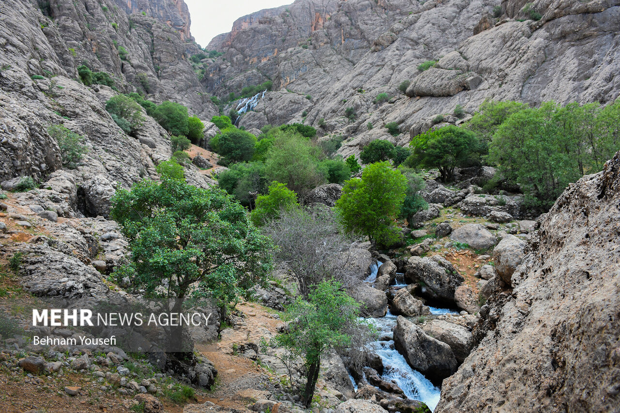 آبشار «ازنادر» لرستان/ گزارش تصویری