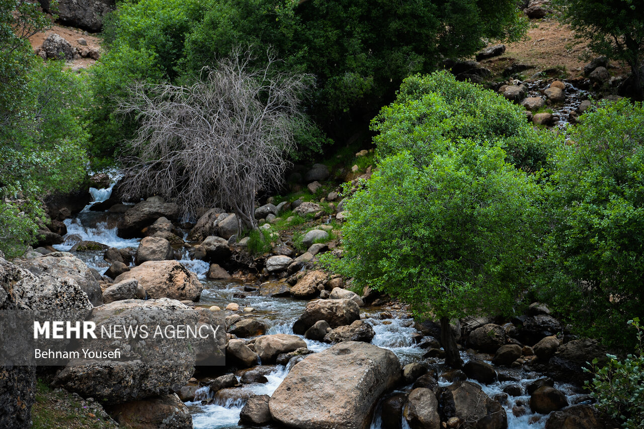 آبشار «ازنادر» لرستان/ گزارش تصویری