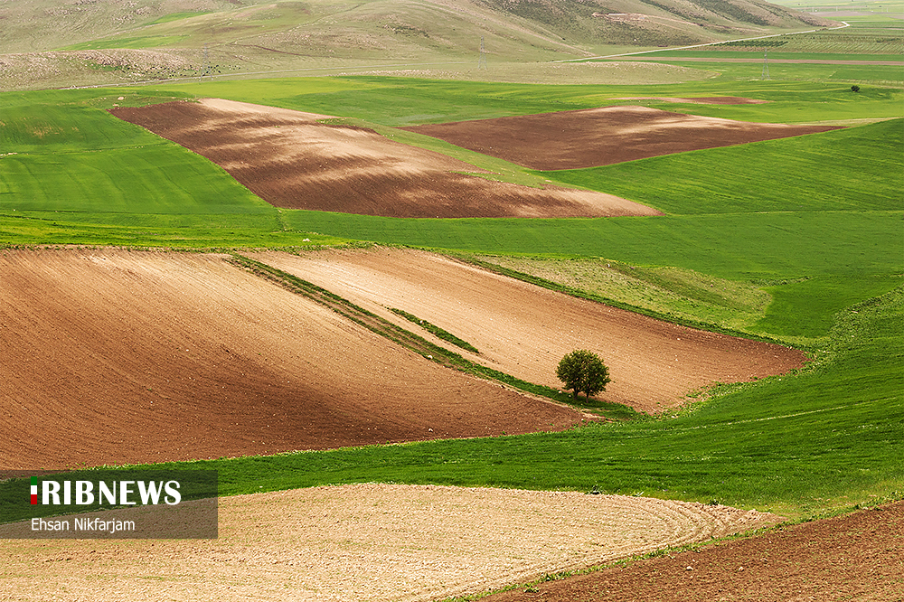 زیبایی‌های دریاچه ارومیه/ گزارش تصویری