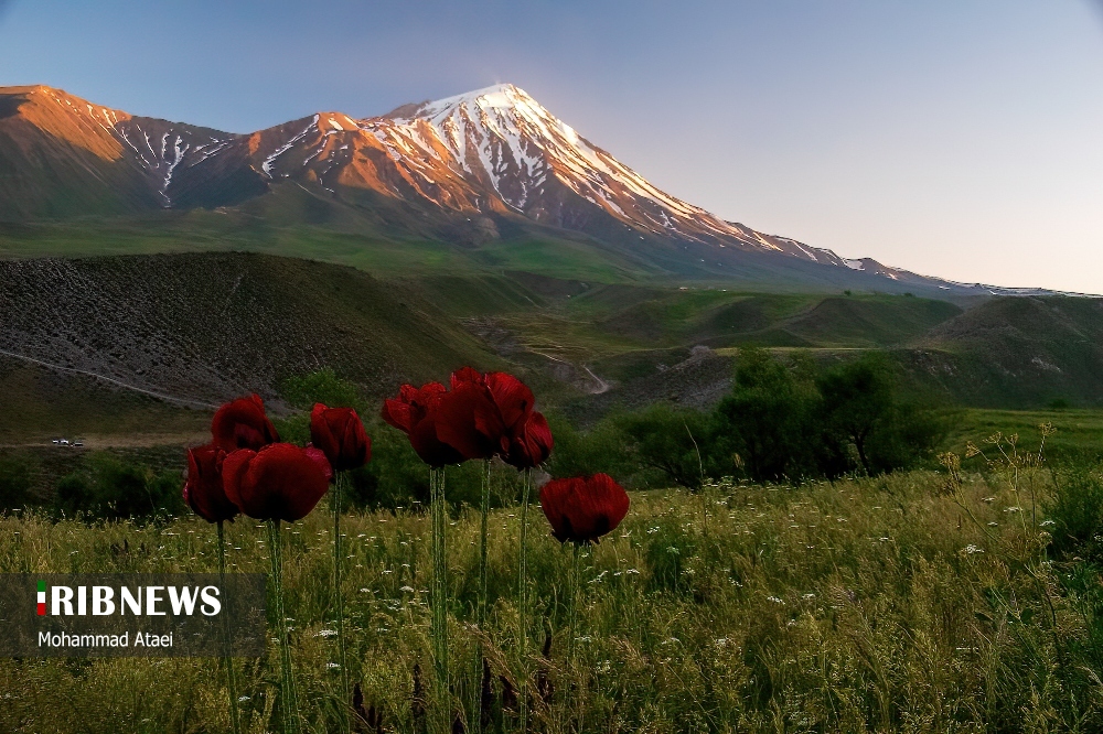 روز ملی دماوند/ گزارش تصویری