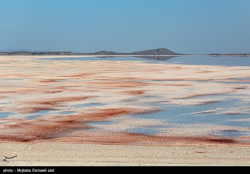 وضعیت قرمز دریاچه ارومیه/ گزارش تصویری