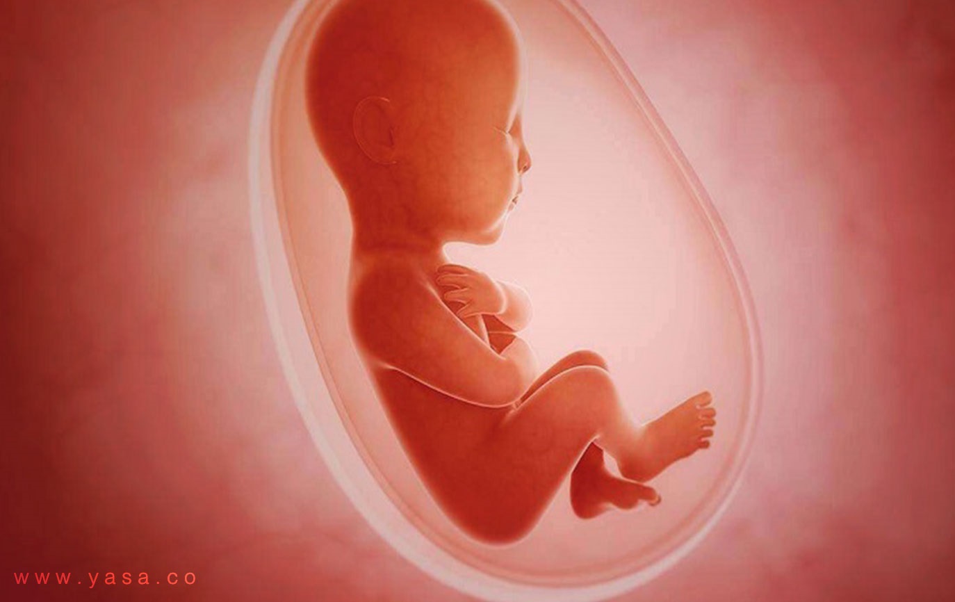 اصلاح قانون «سقط جنین» در دستورکار!