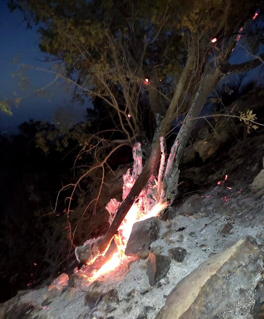 آتش‌سوزی گسترده در منطقه حفاظت شده «خائیز»