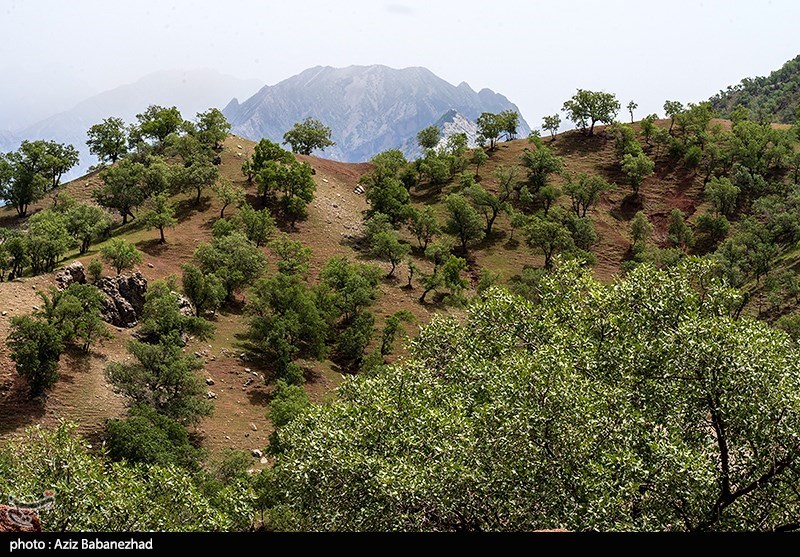 تنگه کول‌ پیر در خرم آباد/ گزارش تصویری