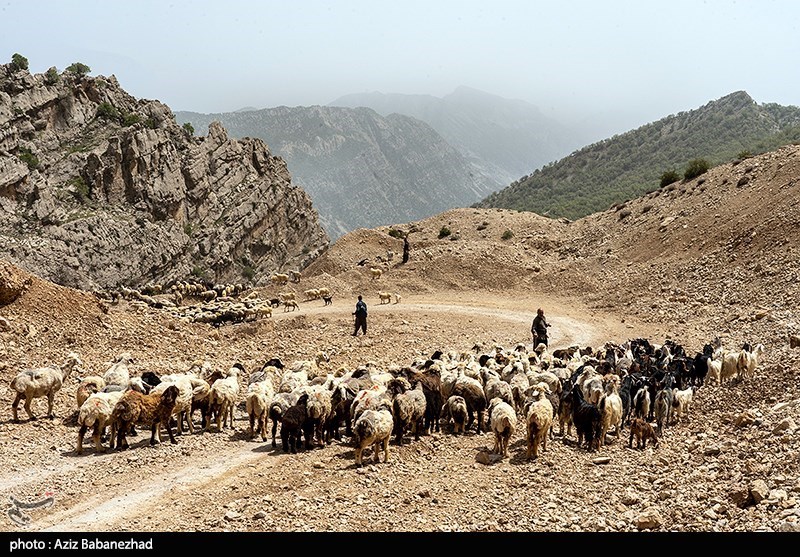 تنگه کول‌ پیر در خرم آباد/ گزارش تصویری