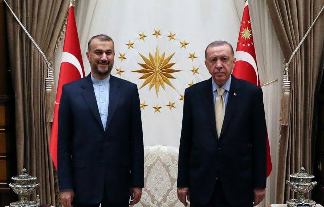 در دیدار امیرعبداللهیان و اردوغان چه گذشت؟ +ویدیو