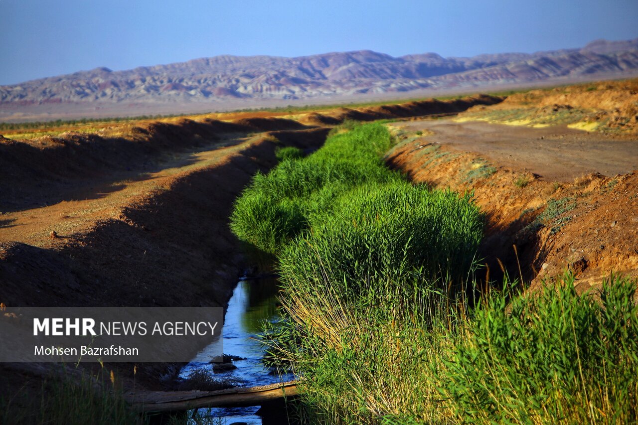 طبیعت رودخانه «شور»/ گزارش تصویری