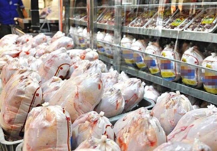 صادرات «مرغ» به عراق آزاد شد