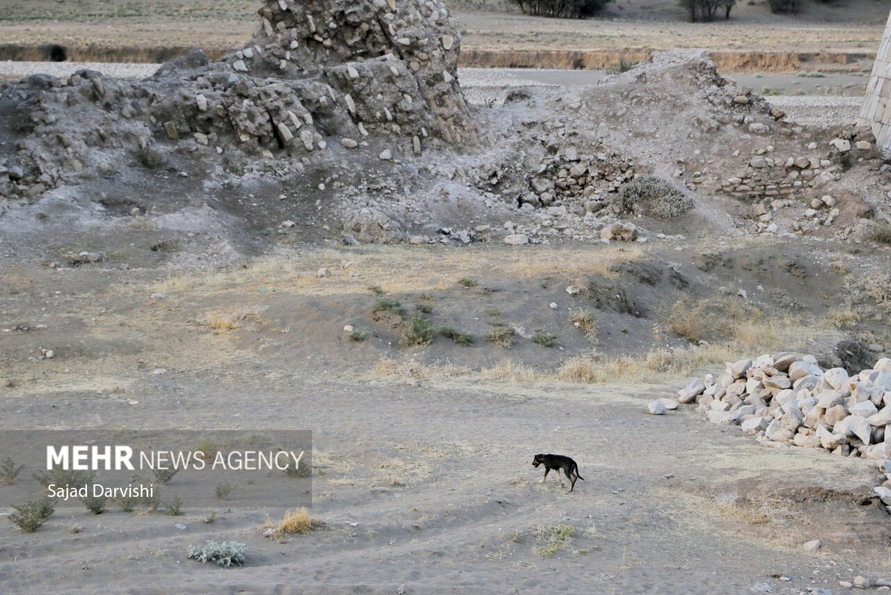 خشکسالی در بستر «کشکان»/ گزارش تصویری